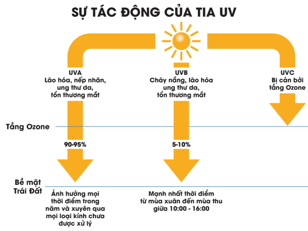 Tác hại của tia UV đến sức khỏe con người